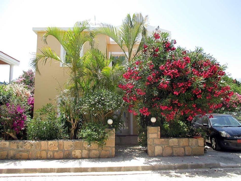 Rododafni Villas Klorakas Exteriör bild