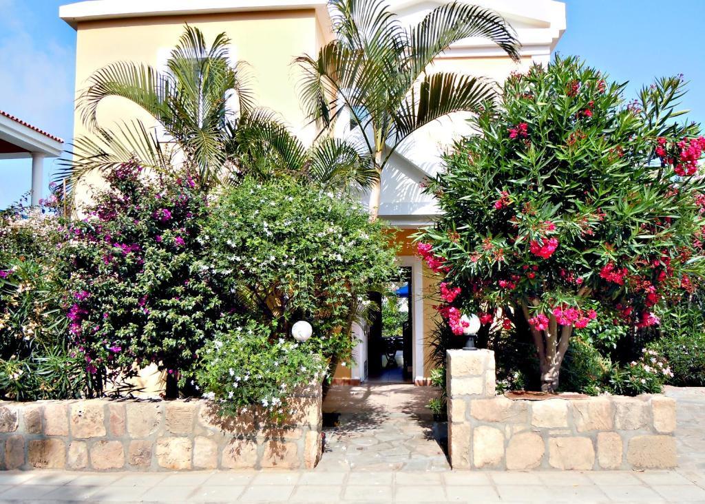 Rododafni Villas Klorakas Rum bild