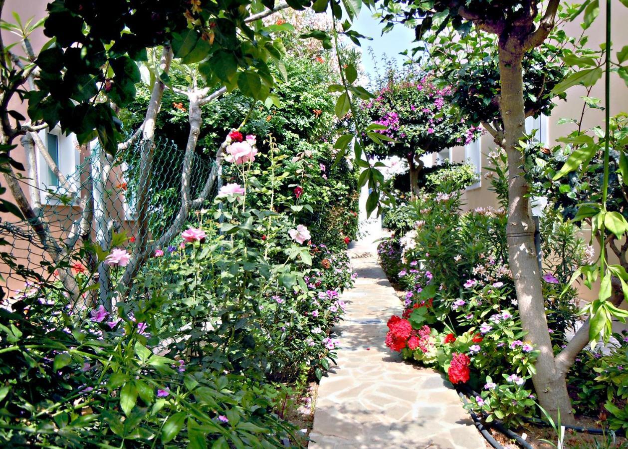 Rododafni Villas Klorakas Exteriör bild